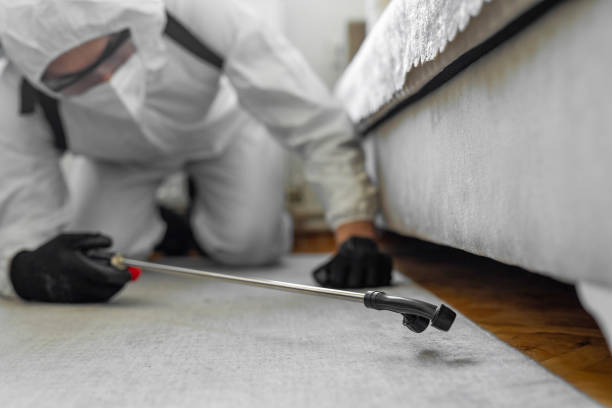 Professional Bed Bug Control technician working in Round Lake Heights, IL