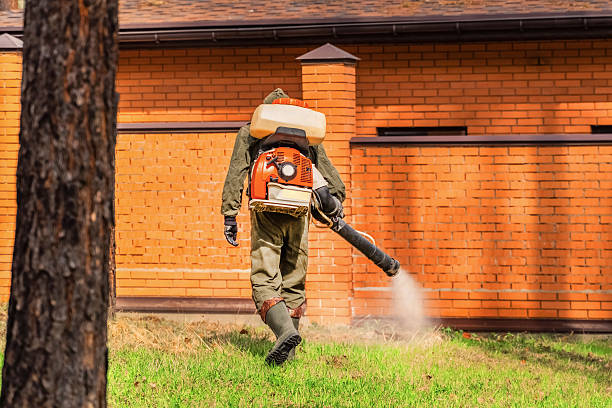 Trusted Cockroach Control service in Round Lake Heights, IL - Nex Pest Control